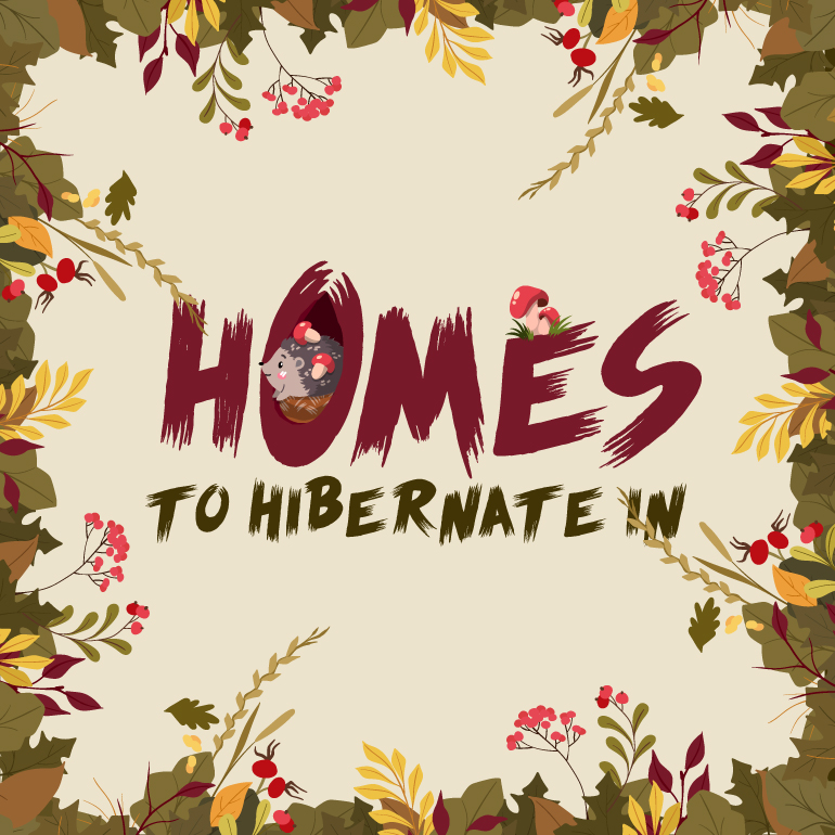 Illustration featuring the phrase 'HOMES TO HIBERNATE IN' surrounded by autumn leaves, flowers, and mushrooms, with a hedgehog peeking out from a burrow.